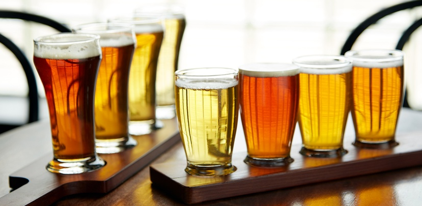 Beer Tasting Tours South Florida - Peoples Travel Tours