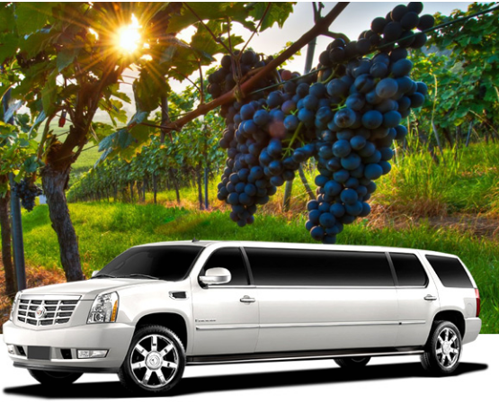 Vineyard Tours South Florida - Peoples Travel Tours